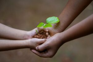 protection environnement